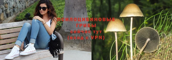 скорость Лиски